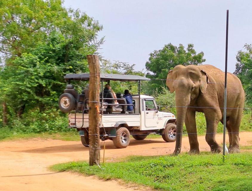 Wild Park Safari Home Stay Udawalawe Dış mekan fotoğraf