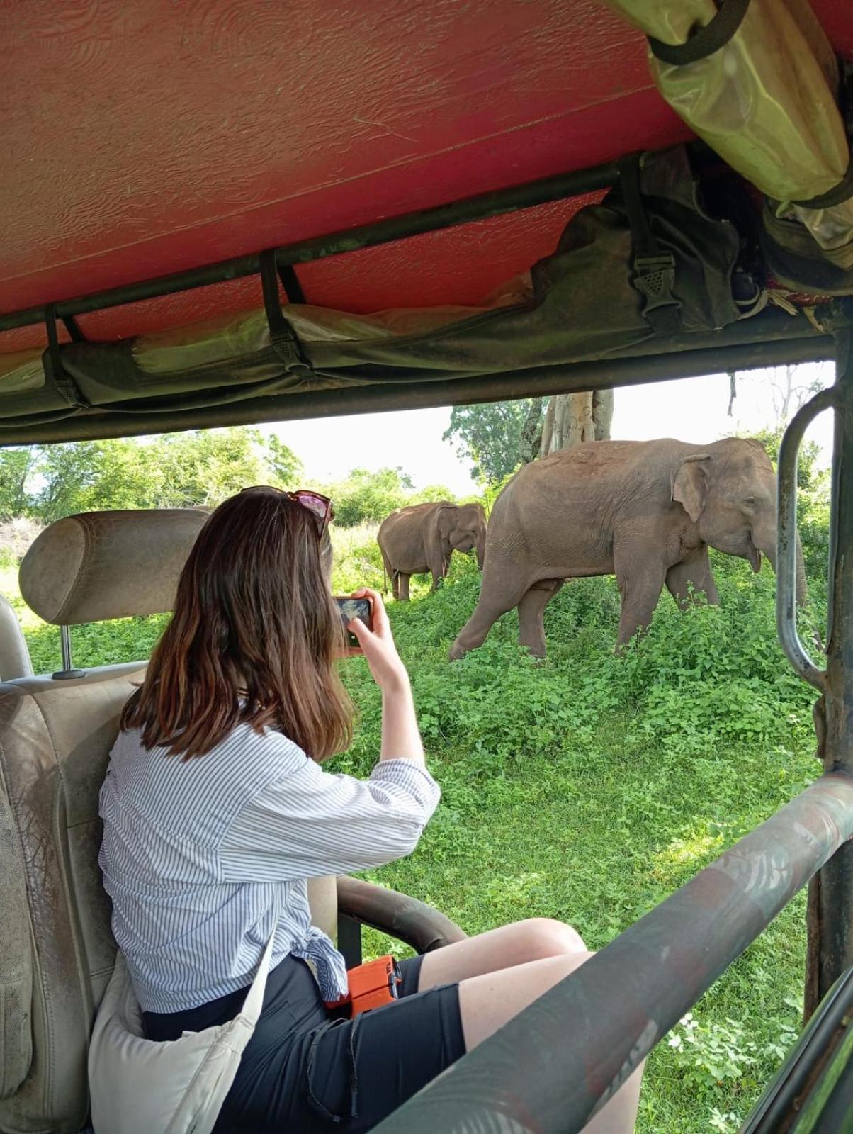 Wild Park Safari Home Stay Udawalawe Dış mekan fotoğraf